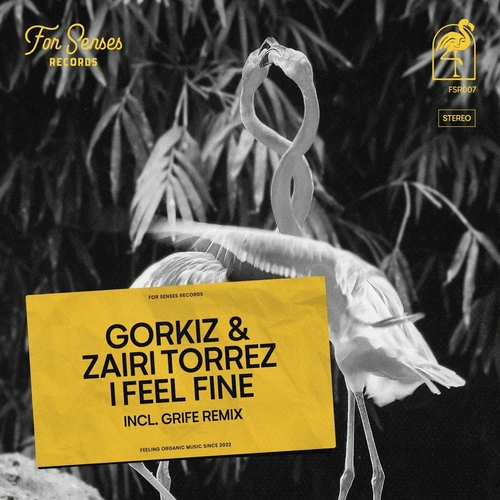 Gorkiz - I Feel Fine [FSR007]